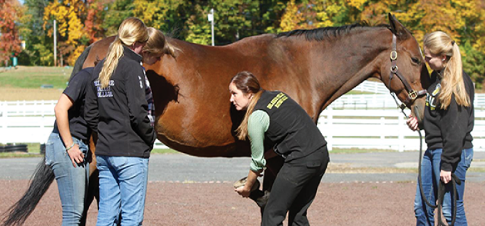 Delaware Valley University_B