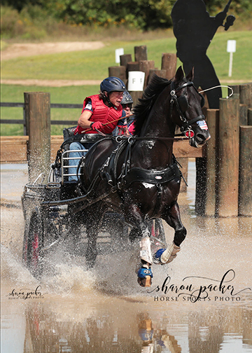 Donna Crookston and Viktor at the Tryon CDE 2021