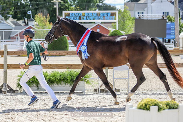 D’Obrigado GGF (Photo - Grace Zalewski)
