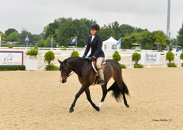 Lauren Padilla and Celebration 