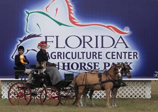 Mary Phelps and her ponies