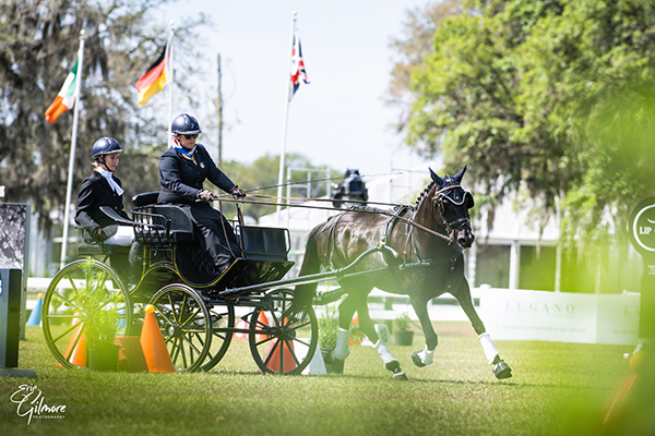 Live Oak International