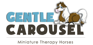 Gentle Carousel Miniature Therapy