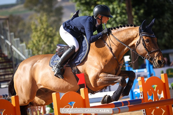 Hanna Mauritzson and Parkmore Lux