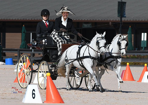 Yvette Harris, USEF Intermediate Pair Pony Horse Combined Driving National Champion (Picsofyou.com)