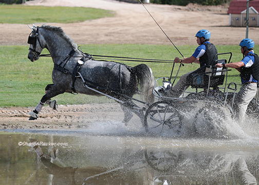 Raymond Helmuth and Fifty Shades of Grey