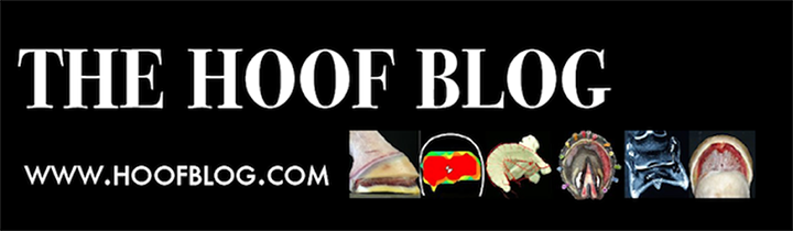 hoofblog.com