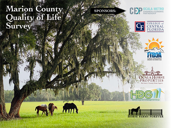 Horse Farms Forever