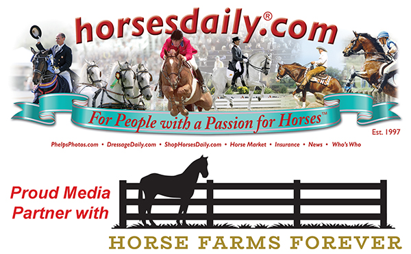 HorsesDaily