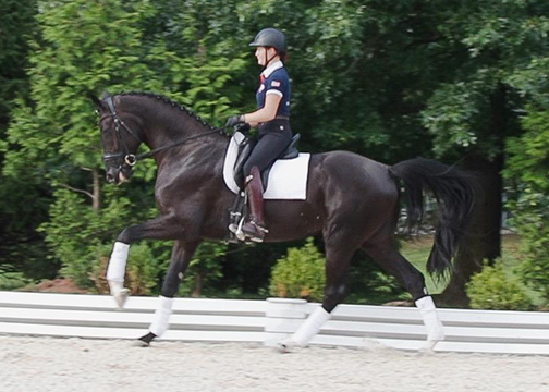 Fontenay 4 yr old rider by Katryna Evans.  Fürst Jass/ Don Frederico