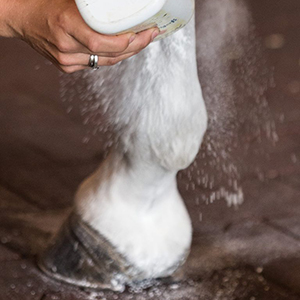 Cornstarch