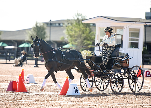 Barbara Sims and Errisistable ©TIEC