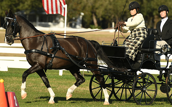Barbara Sims (Windsor, S.C.) and Erresistible