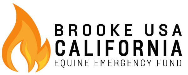 Brooke USA Logo