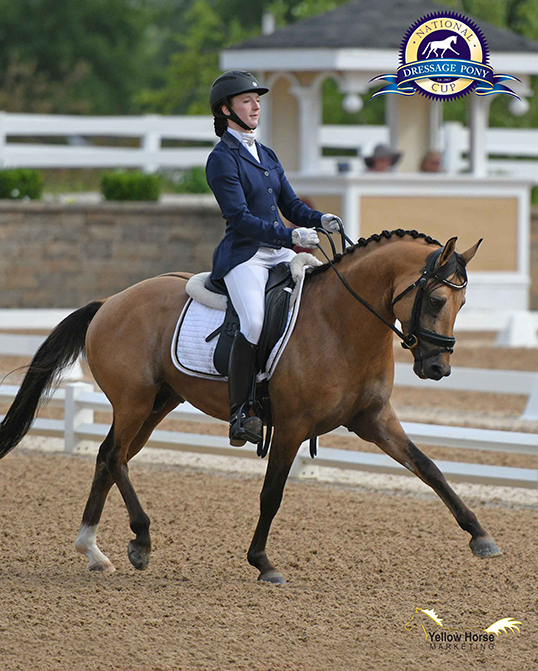 Emmanuelle Lord’s long journey from Ontario, Canada proved worthwhile as she and Christine Baker’s five-year-old Westfalen stallion Deja D’Or took the lead in the First Level Open division with 71.857%. Photo by Jennifer M. Keeler/Yellow Horse Marketing