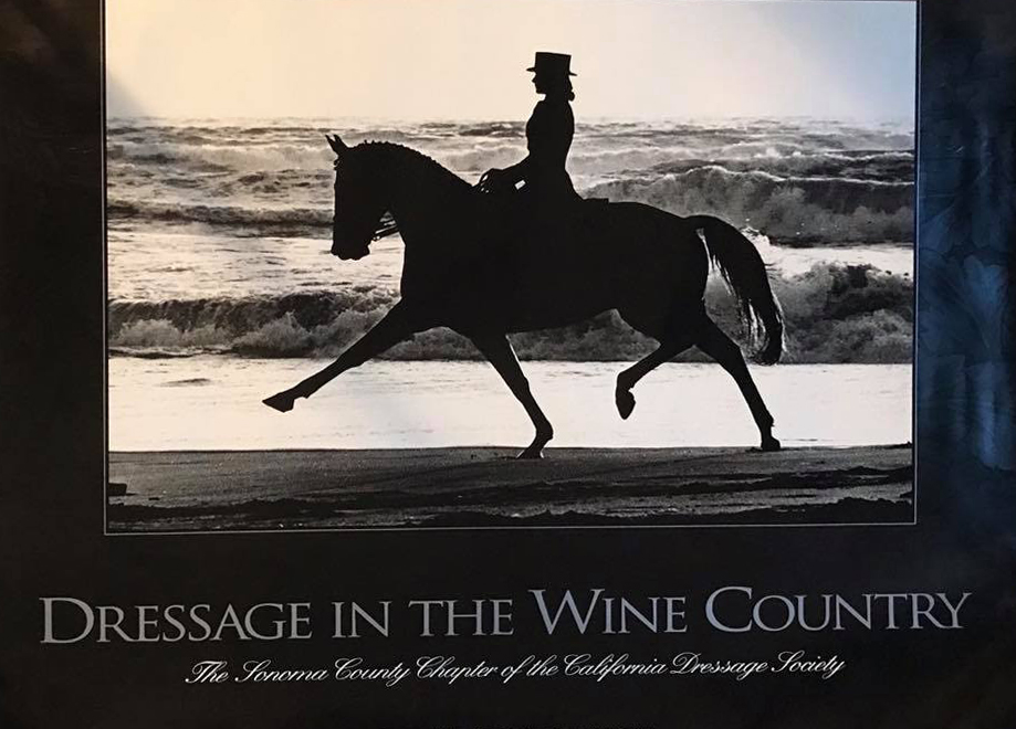 Sonoma Valley Wine Country Poster
