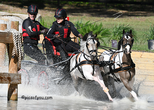 Mary and The Flying Gangsters