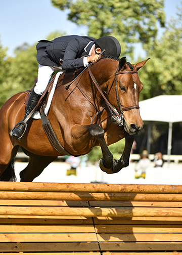 John French Winner of the $25,000 USHJA International Hunter Derby Presented by Dr. Daryl K. Hoffman John French & Center Court ©Alden Corrigan