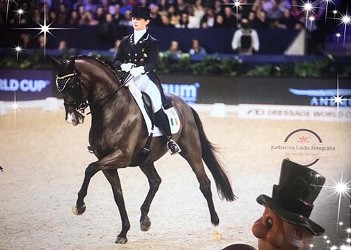 Reynolds and "JP" Dance to The Lord of The Rings The undeniable queen of Dressage, Isabell Werth (49), won today’s ninth and penultimate leg of the FEI Dressage World Cup™ 2018/2019 Western European League on home ground at Neumünster (GER) with her multi-medalled mare Weihegold. On a day when the German star and her accomplished compatriots claimed six of the top seven places in a super-hot competition however, Ireland’s Judy Reynolds (37) lifted the hopes and dreams of enthusiasts around the world when snatching third spot with her brilliant little gelding, Vancouver K.  That pushed Reynolds and the little Dutch-bred gelding she calls JP down to third, but this was a sensational result for the pair who fly the flag of a horse-loving country that is really only waking up to the excitement of the sport of Dressage. Yesterday they became the first-ever Irish partnership to take a podium placing in a Western European League Grand Prix, and today they broke the Irish international Freestyle record score they set in Amsterdam (NED) last month when putting 82.750 on the board.  "I was in the arena training this morning at 6am, and Patrick (her husband) and I were chatting before we got down to work. We were wondering do people say “if she can get into the middle of the Germans, then maybe I can too!"  "JP is a relatively normal pony but he’s getting in there and shaking them up a bit!” Reynolds added with a laugh today.
