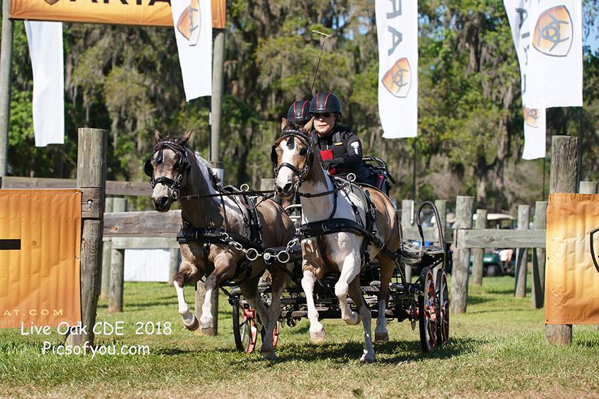 Kimba and Al at Live Oak
