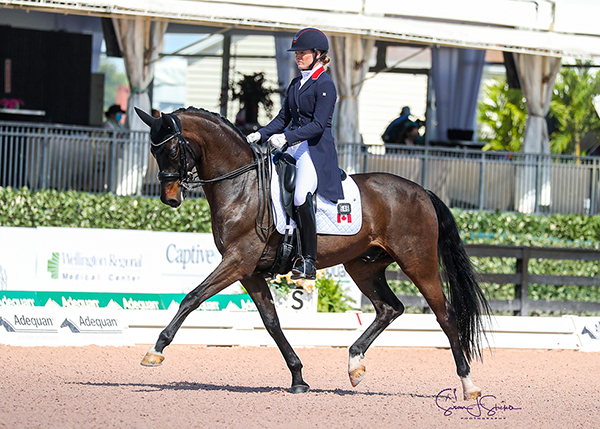 Lindsay Kellock Sebaastien