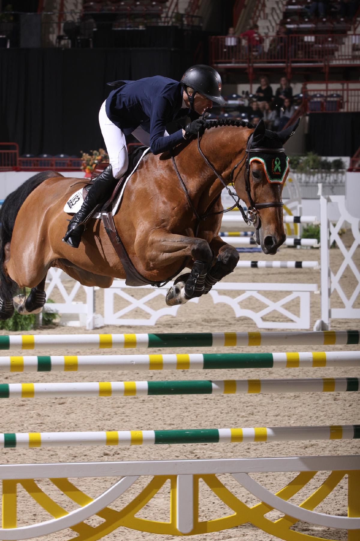 Molly Ashe Cawley and Adamo (c) Al Cook Photography