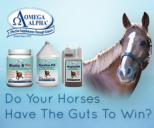 Omega Alpha Healthy Gut