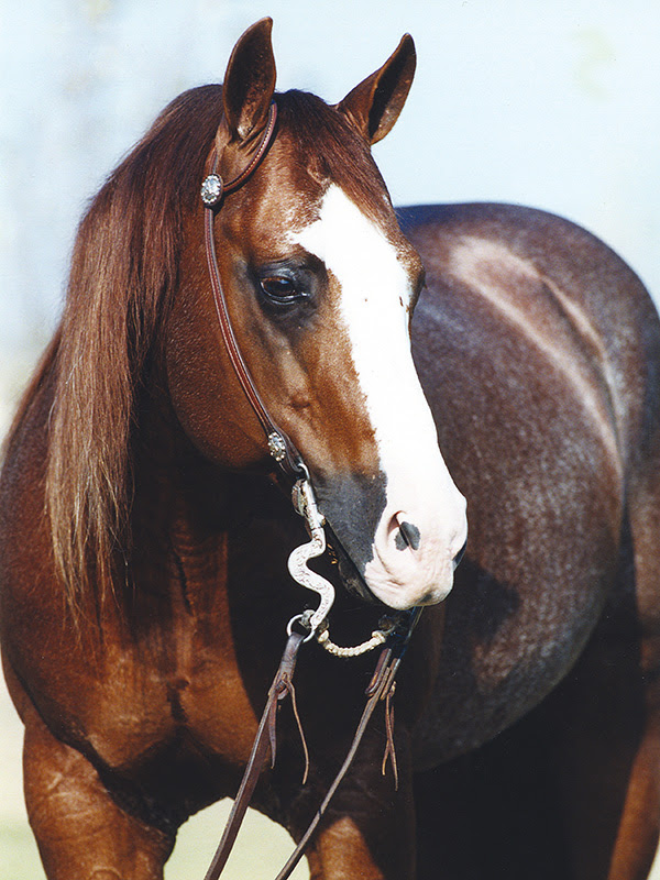 NRHA Hall of Fame inductee Smart Chic Olena (Smart Little Lena x Gay Sugar Chic), who was humanely euthanized in 2012, is now an NRHA Seven Million Dollar Sire. Photo by John Brasseaux