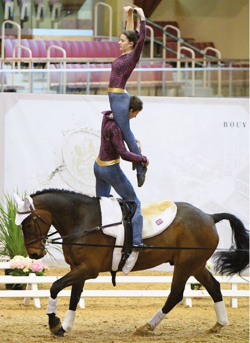 Vaulting