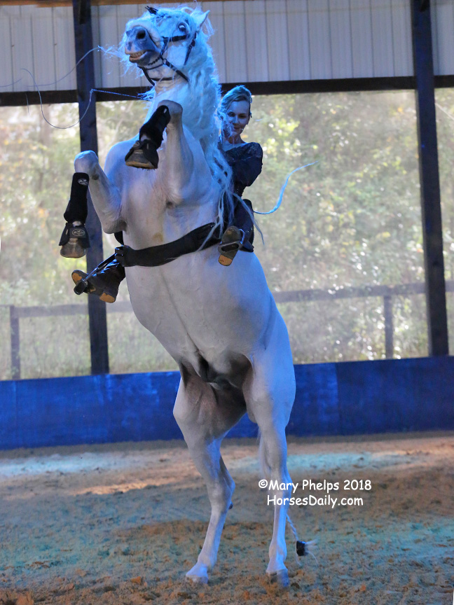 Sylvia Zerbini and her Andalusian Stallion