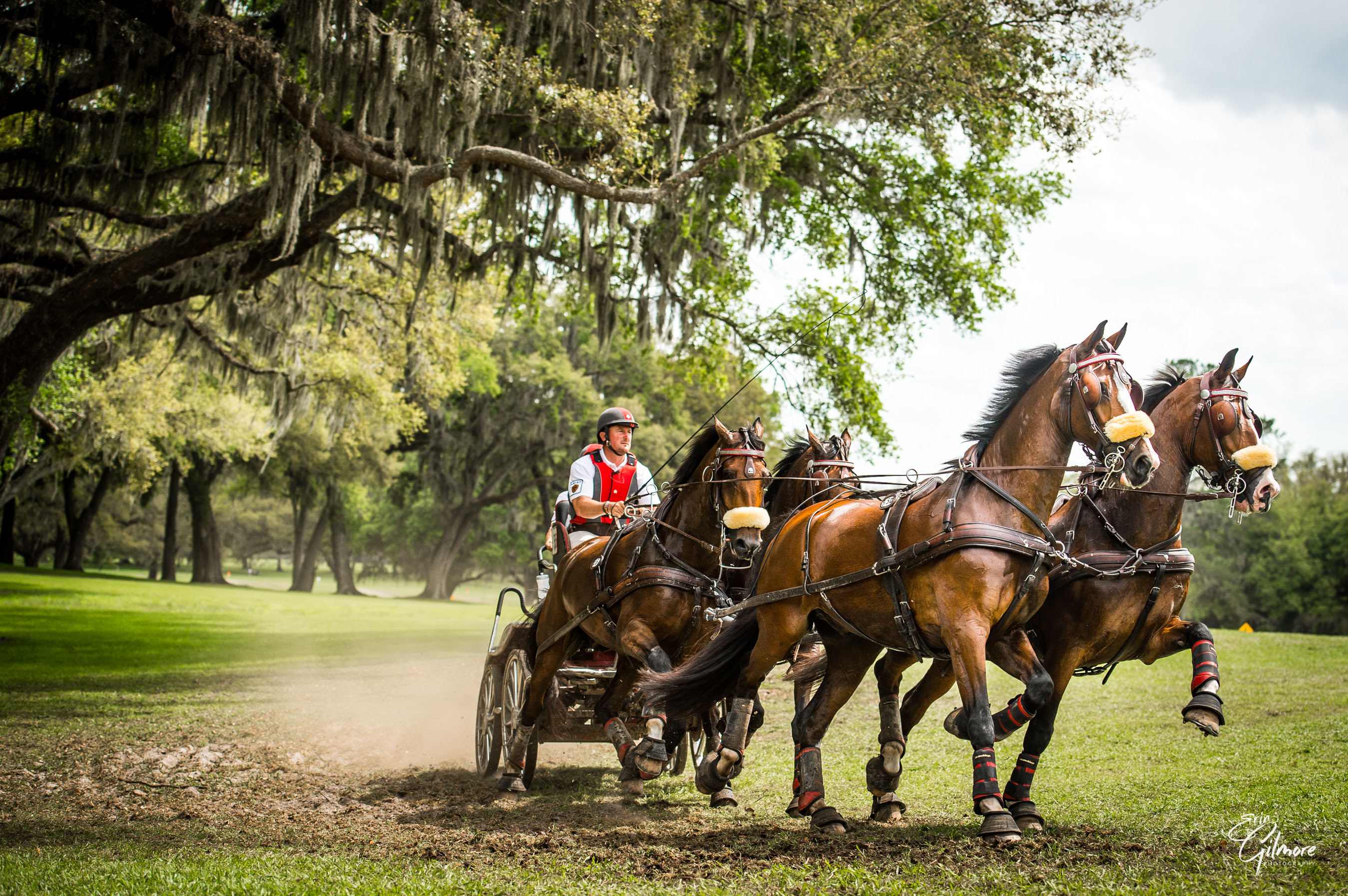 Chester Weber co-organizer of the Live Oak International 