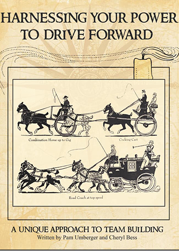 Book Cover - Harness Your Power