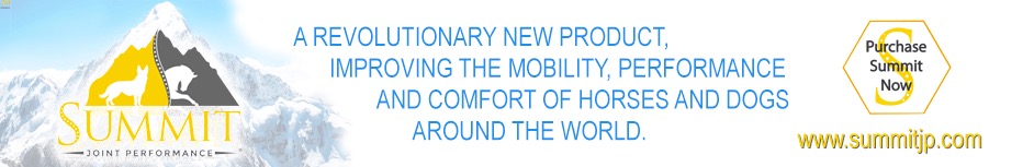 Summit Joint Performance