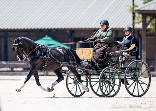 Janell Marshall and Irresistible ©Shannon Brinkman