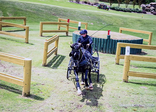 Janell Marshall and Irresistible ©Shannon Brinkman