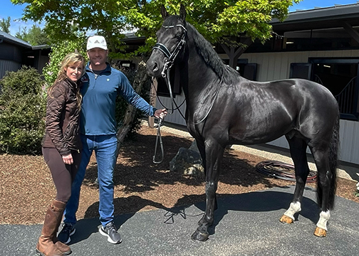 Gina and Dan Reudiger had a short time in Sherwood, Oregon with their new stallion Jersey before sending hm off to San Marcos, California and The Palms Equestrian Center, to begin the next phase of his American journey. 