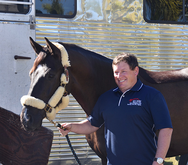 Elite Horse Transport