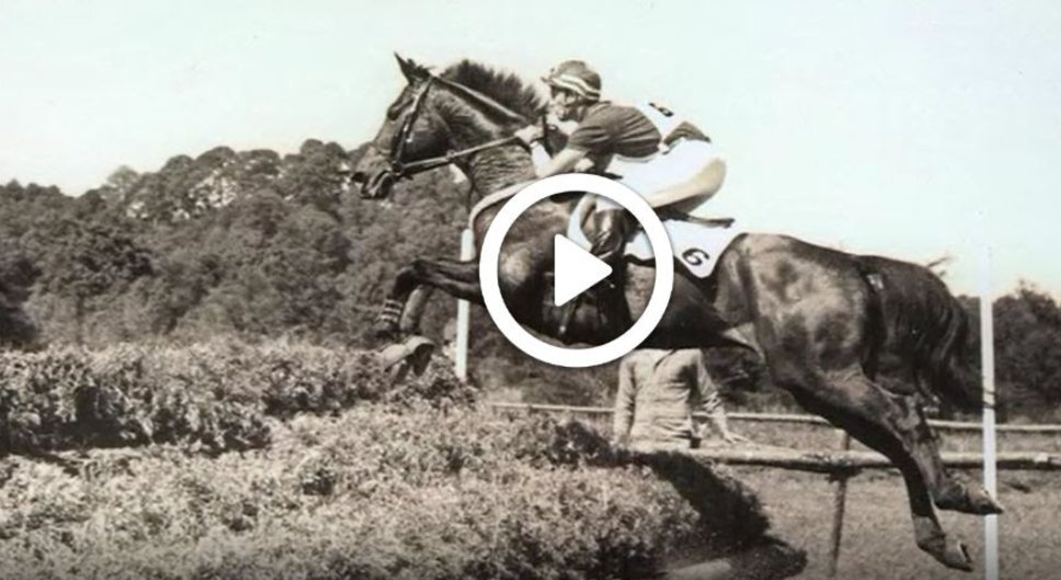 Lifetime Achievement Video - James C. Wofford