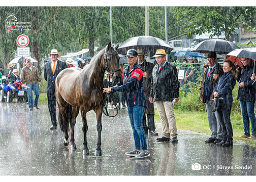 Jolie Wentworth and Lars in the rainy vet check 