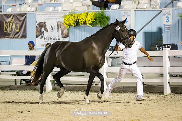 Kashmir R (Photo: Emma Miller)