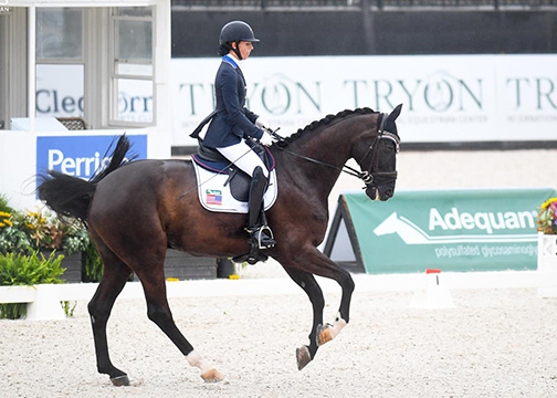 Kate Shoemaker and Solitaer 