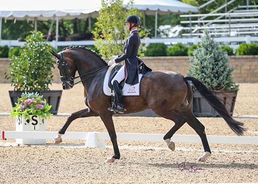 Kicking off what is expected to be a week of record breaking results was the return of Laura Graves into the limelight riding SenSation HW (2013 Westphalian by Sunday x Donata by Dancier) winning the first leg of the Intermediare Championships, in the Prix St Georges test with a 75.529.