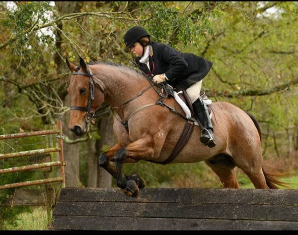 Laura DuVall Molony, DVM