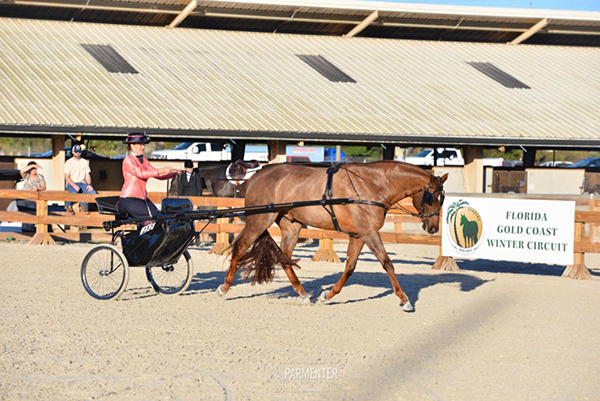 Leah Roehl and AlDoWhatYouLove