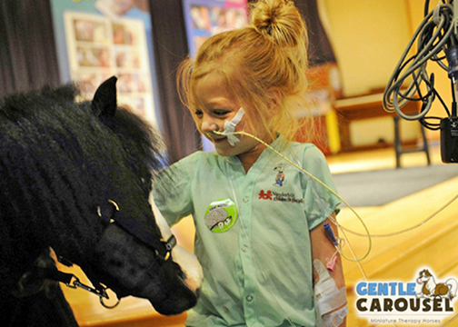 Gentle Carousel Miniature Therapy Horses