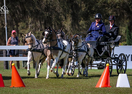 Mary Phelps with Bugsy Malony, Al Capony, Tony Da Pony, and Kimba. ©Leslie Potter/US Equestrian