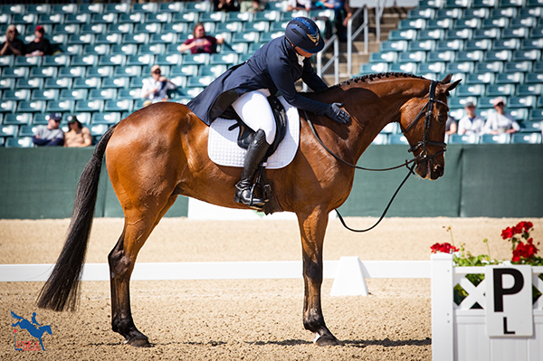 Colleen Rutledge and Covert Rights