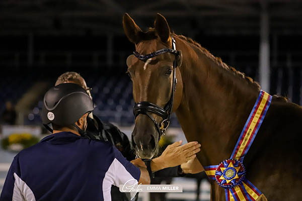 Noblewood Tarpania (Photo: Emma Miller)