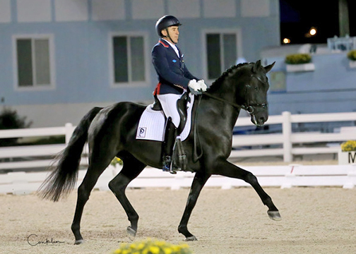 Cesar Parra and Fanta 4 dominating the FEI 6 Year Old Division with a top score over 83% (Photo credit: Conklin Photography)