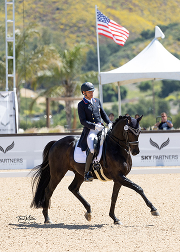 following their debut, Steffen Peters and El Torro B reinforced themselves as the pair to watch as they aced the CDI1* FEI Intermediaire I.